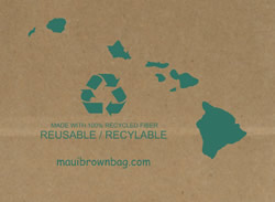 recycled paper shopping bag supplier in hawaii